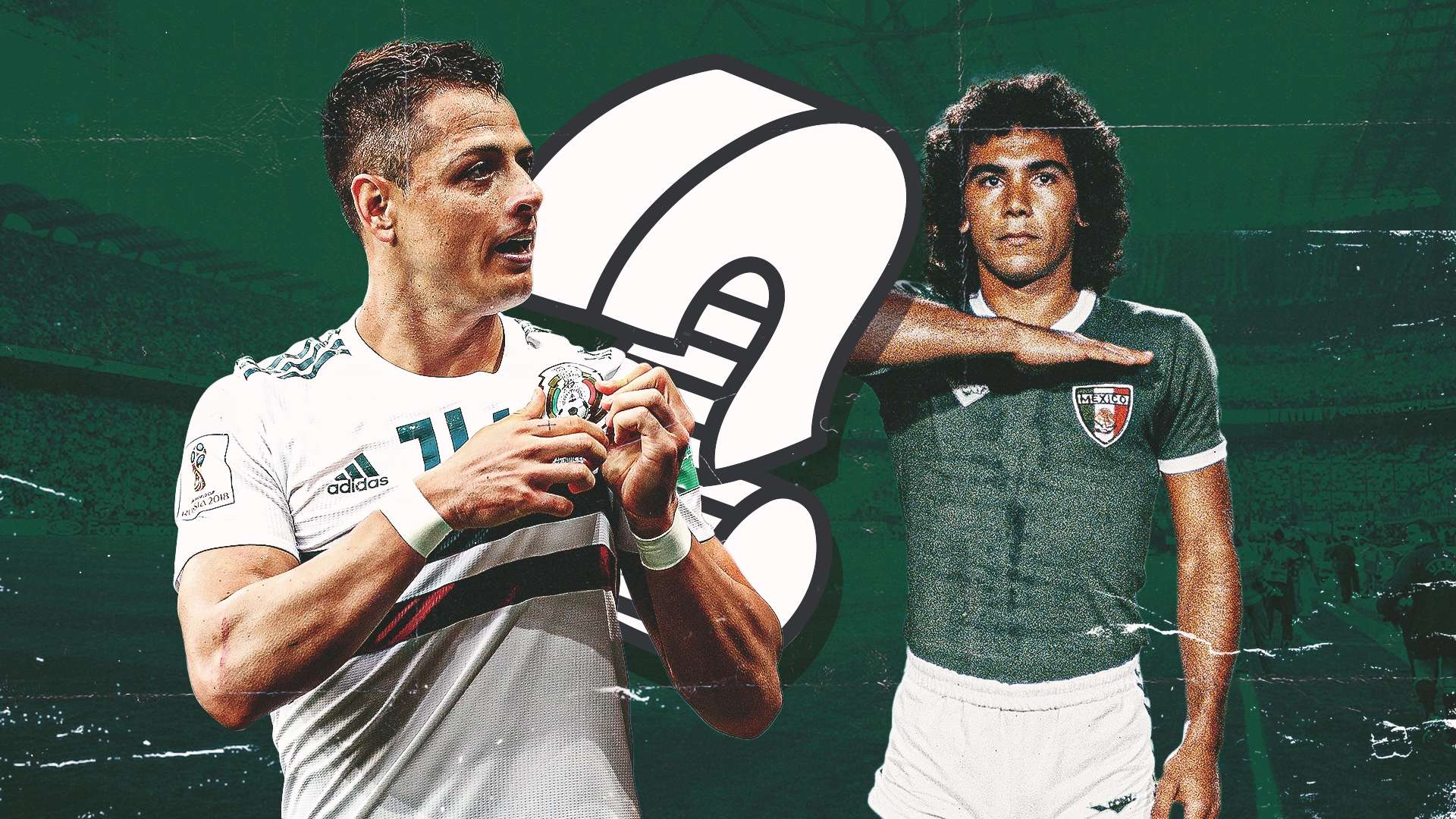 展现了极高 展现了极高